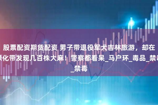 股票配资期货配资 男子带退役军犬吉林旅游，却在绿化带发现几百株大麻！警察都看呆_马户环_毒品_禁毒