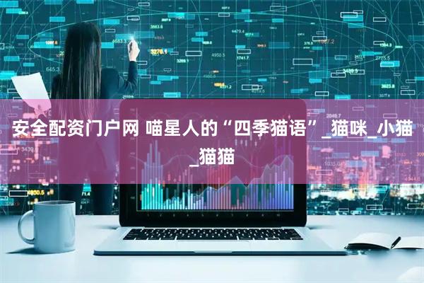 安全配资门户网 喵星人的“四季猫语”_猫咪_小猫_猫猫