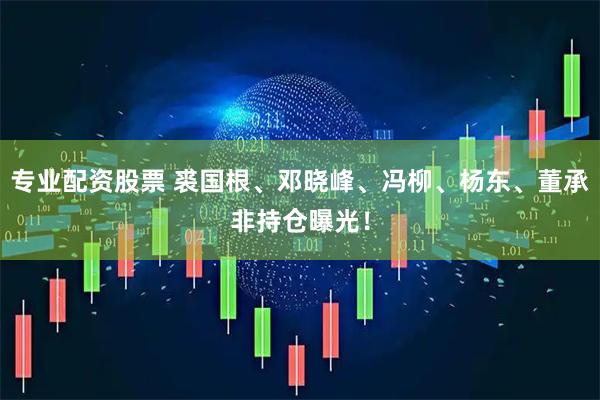 专业配资股票 裘国根、邓晓峰、冯柳、杨东、董承非持仓曝光！