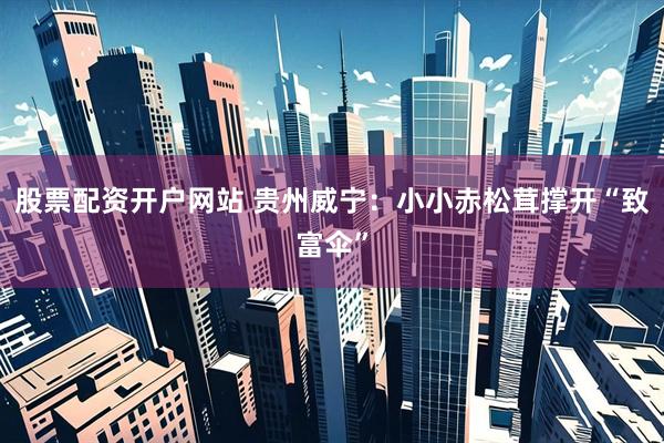 股票配资开户网站 贵州威宁：小小赤松茸撑开“致富伞”